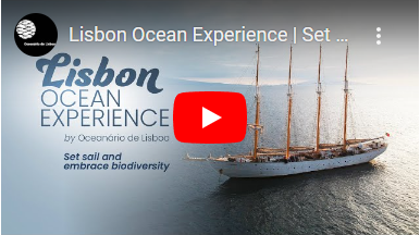 Eco Voyage Lisbon – Sesimbra with Oceanario de Lisboa