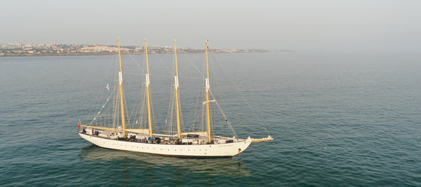 その他 Santa Maria Voyage #03 43.3% その他 Santa Maria Voyage #03 43.3% Christopher Columbus's