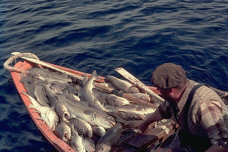 Santa Maria Manuela - Dory