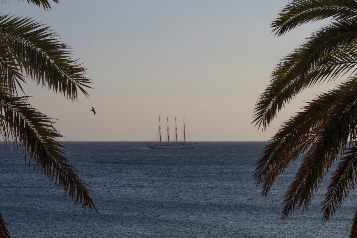 20 - Autumn sailing and island adventure: Canary Islands - SantaMariaManuela