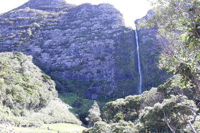 10 - Flores, Pico adventure sailing: Azores Island hopping - SantaMariaManuela