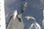 10 - Flores, Pico adventure sailing: Azores Island hopping - SantaMariaManuela