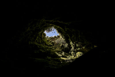 10 - Flores, Pico adventure sailing: Azores Island hopping - SantaMariaManuela