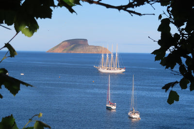 10 - Flores, Pico adventure sailing: Azores Island hopping - SantaMariaManuela