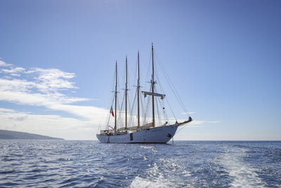 10 - Flores, Pico adventure sailing: Azores Island hopping - SantaMariaManuela