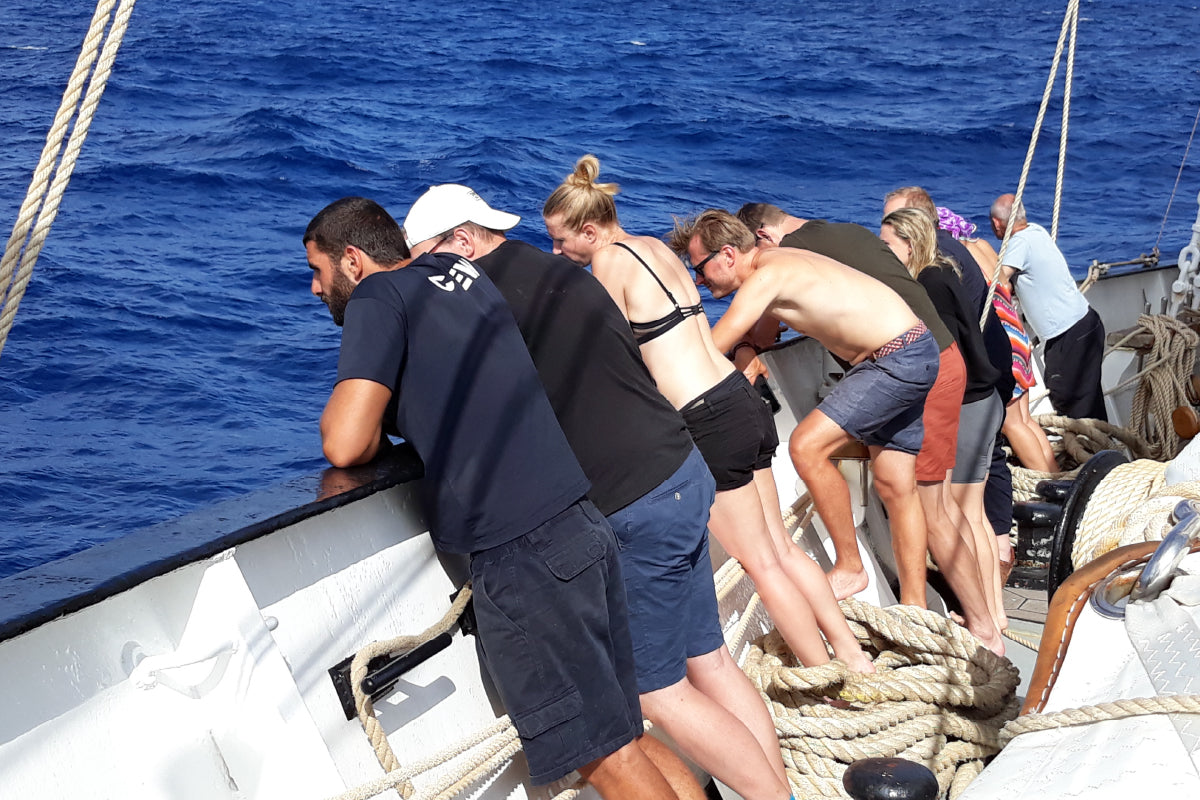 10 - Flores, Pico adventure sailing: Azores Island hopping - SantaMariaManuela