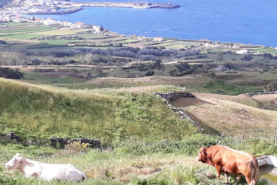 12- Yoga and sailing in the Azores archipelago - SantaMariaManuela
