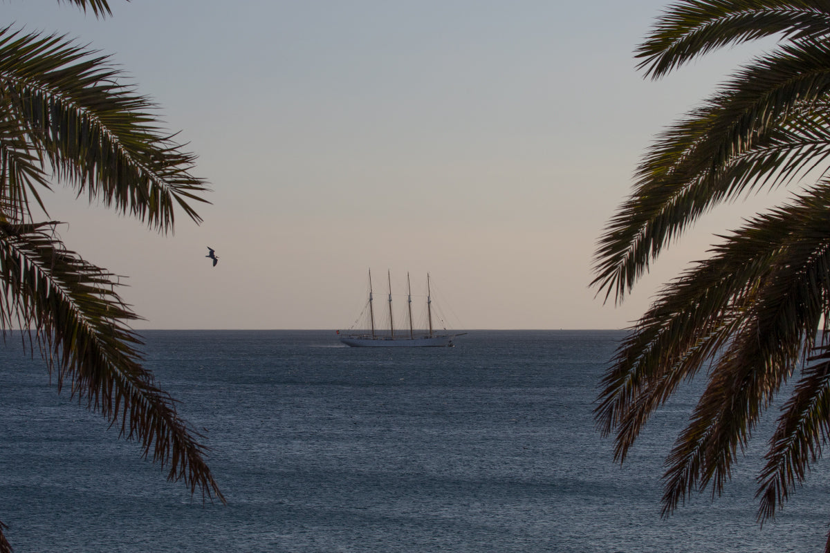 17 - Autumn blue water sailing Lisbon to Funchal - SantaMariaManuela