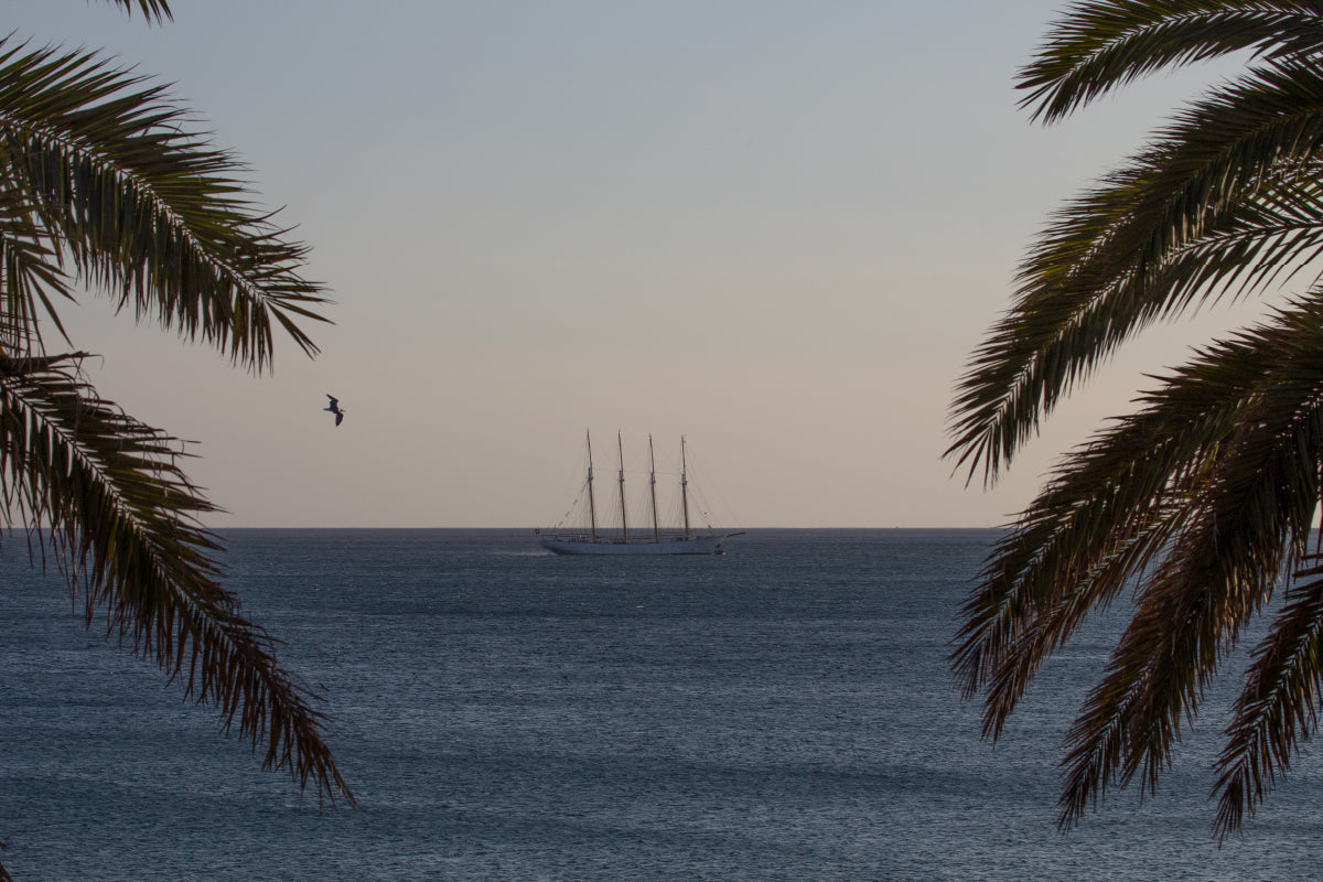 19 - Autumn blue water sailing Madeira to Canary Islands - SantaMariaManuela
