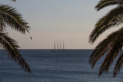 19 - Autumn blue water sailing Madeira to Canary Islands - SantaMariaManuela